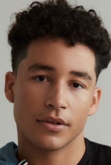 Andrew Liner