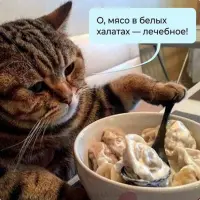 The_DOC_ru